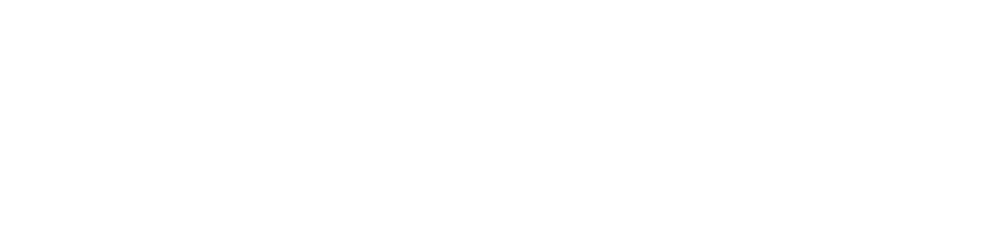 SETN Logo